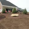 HARDSCAPE & LANDSCAPE